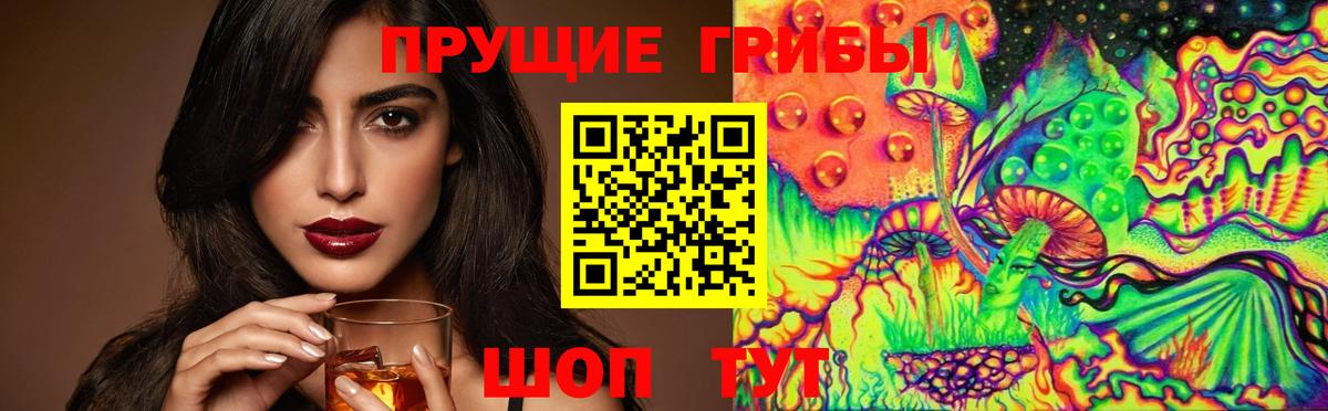 Галлюциногенные грибы MAGIC MUSHROOMS  Вход с VPN  Свободный 